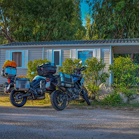 camping international a calvi en corse