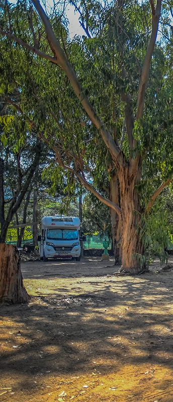 nos emplacements pour les groupes a calvi