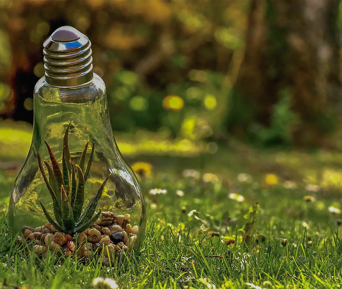 nos valeurs et notre approche de travail