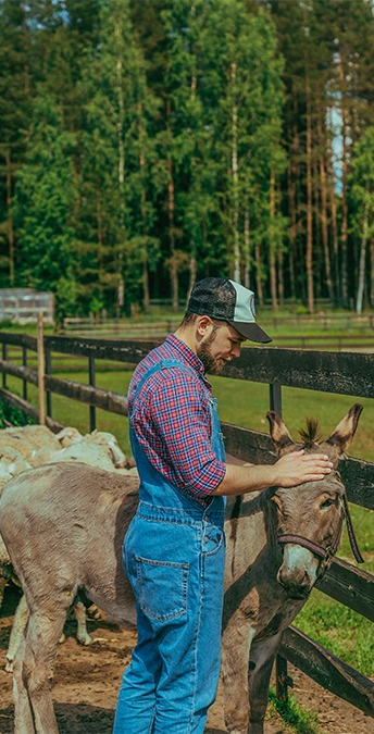 partez en balade avec un ane