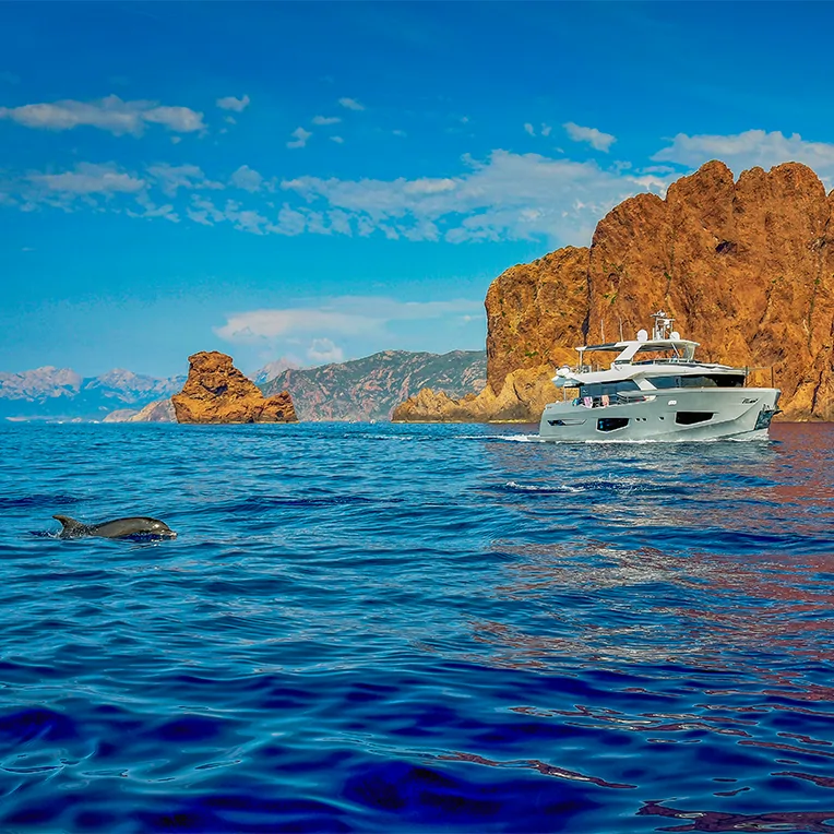 promenade en mer dans la baie de calvi