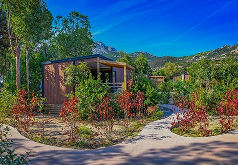 recrutement corse groupe sejoya a calvi