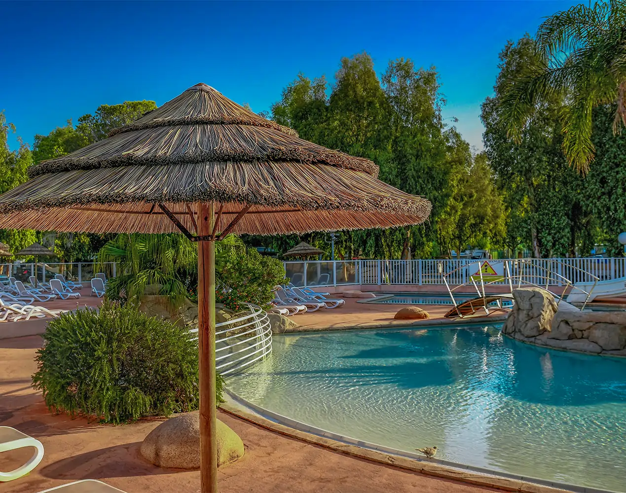 camping les castors 4 etoiles au coeur de calvi en corse