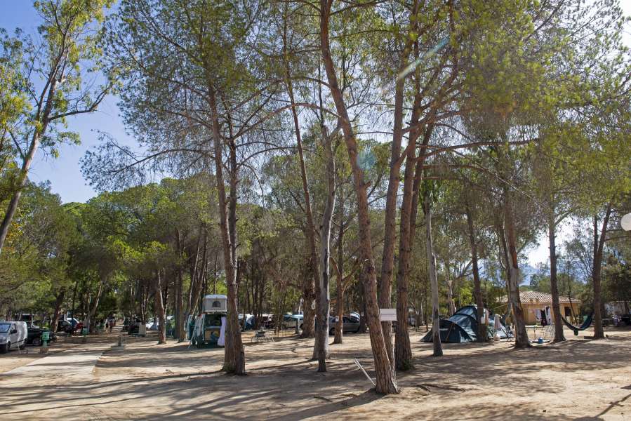 Van/Caravan/CC pitch bookable